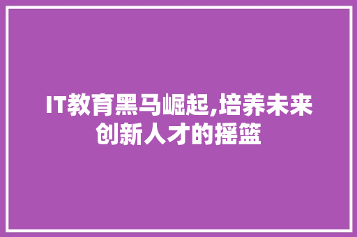 IT教育黑马崛起,培养未来创新人才的摇篮 必应SEO