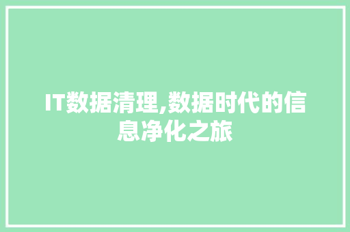 IT数据清理,数据时代的信息净化之旅