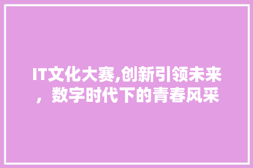 IT文化大赛,创新引领未来，数字时代下的青春风采
