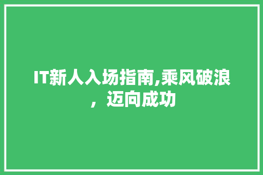 IT新人入场指南,乘风破浪，迈向成功