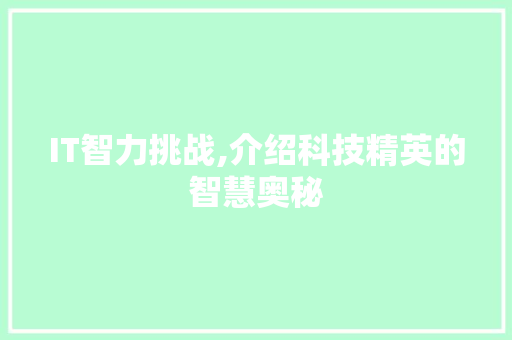 IT智力挑战,介绍科技精英的智慧奥秘 GoogleSEO