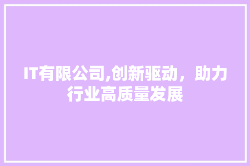 IT有限公司,创新驱动，助力行业高质量发展