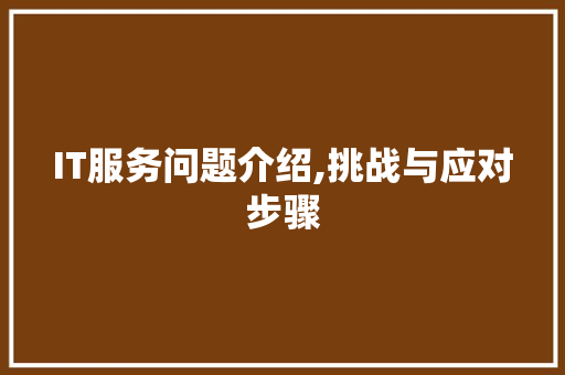 IT服务问题介绍,挑战与应对步骤