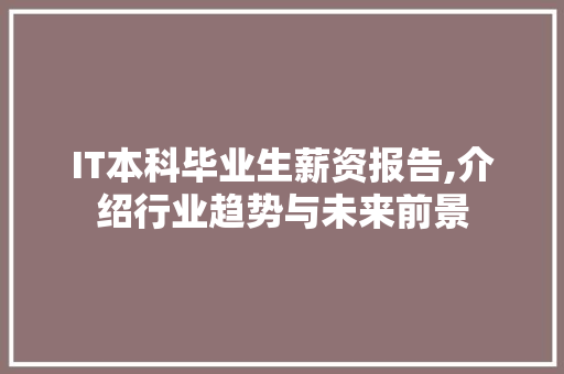 IT本科毕业生薪资报告,介绍行业趋势与未来前景 必应SEO