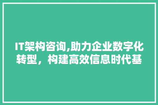IT架构咨询,助力企业数字化转型，构建高效信息时代基石 百度SEO