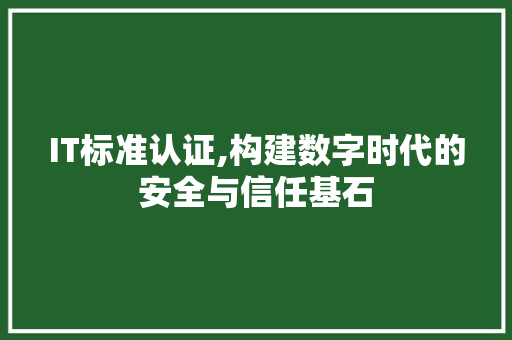 IT标准认证,构建数字时代的安全与信任基石