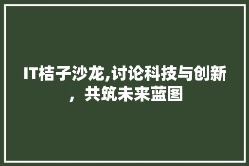 IT桔子沙龙,讨论科技与创新，共筑未来蓝图