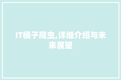 IT橘子爬虫,详细介绍与未来展望