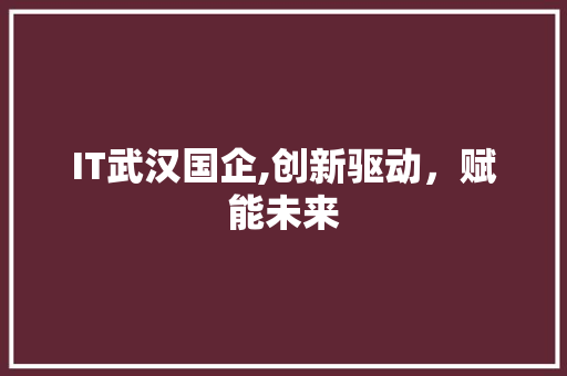 IT武汉国企,创新驱动，赋能未来
