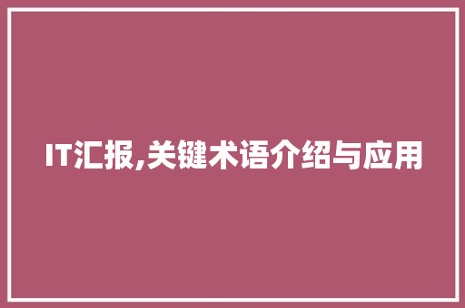 IT汇报,关键术语介绍与应用