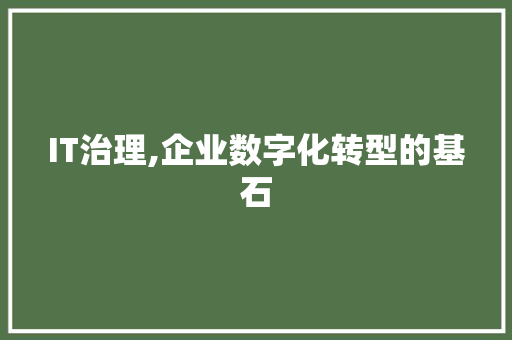 IT治理,企业数字化转型的基石