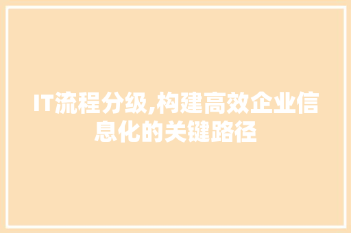 IT流程分级,构建高效企业信息化的关键路径