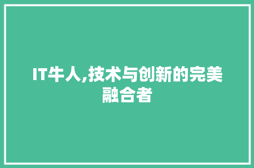 IT牛人,技术与创新的完美融合者 搜狗SEO