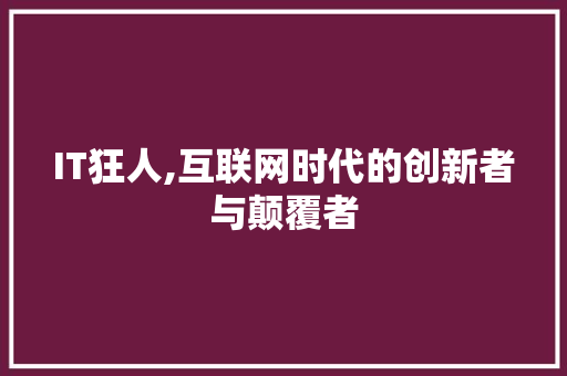 IT狂人,互联网时代的创新者与颠覆者 百度SEO