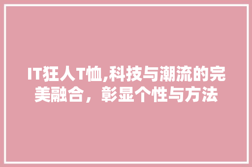 IT狂人T恤,科技与潮流的完美融合，彰显个性与方法