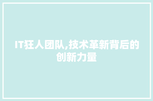 IT狂人团队,技术革新背后的创新力量 GoogleSEO