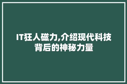 IT狂人磁力,介绍现代科技背后的神秘力量 必应SEO