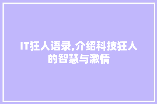 IT狂人语录,介绍科技狂人的智慧与激情