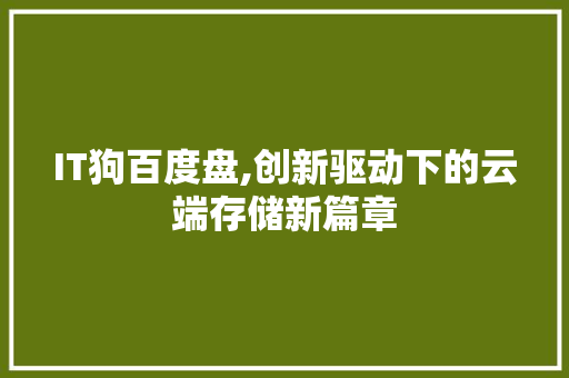 IT狗百度盘,创新驱动下的云端存储新篇章 必应SEO