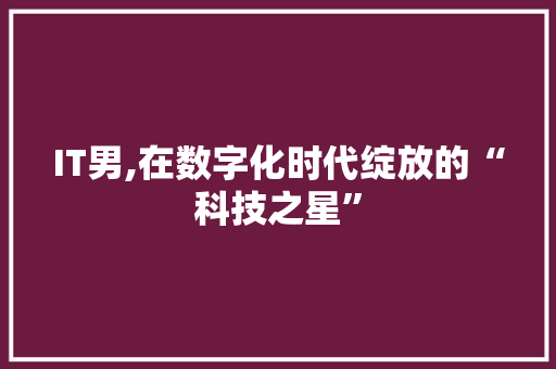 IT男,在数字化时代绽放的“科技之星”