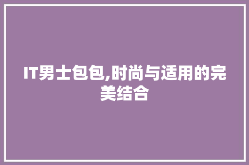 IT男士包包,时尚与适用的完美结合 神马SEO