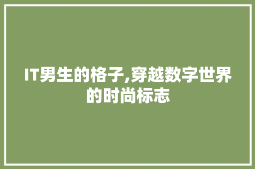 IT男生的格子,穿越数字世界的时尚标志