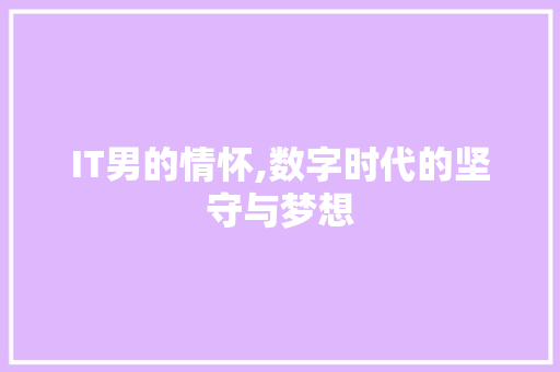 IT男的情怀,数字时代的坚守与梦想 必应SEO