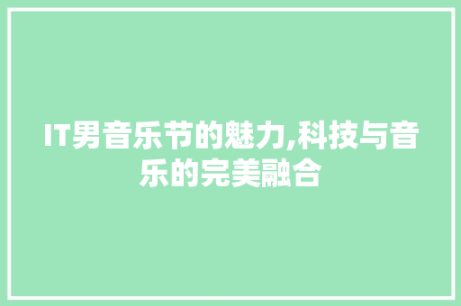IT男音乐节的魅力,科技与音乐的完美融合