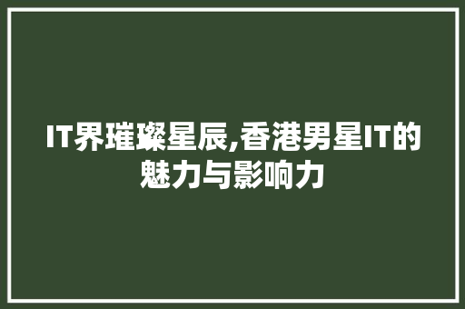 IT界璀璨星辰,香港男星IT的魅力与影响力