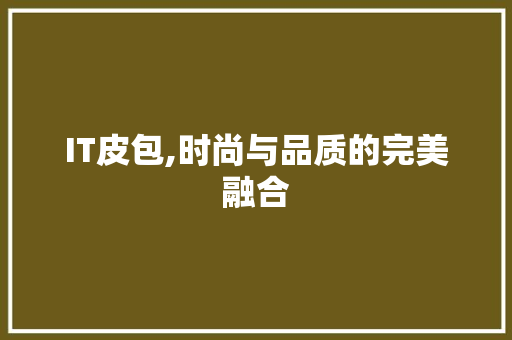 IT皮包,时尚与品质的完美融合
