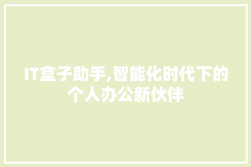 IT盒子助手,智能化时代下的个人办公新伙伴