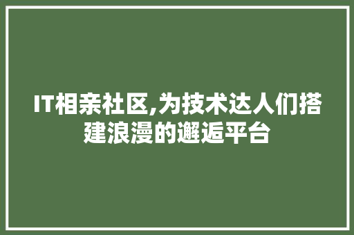 IT相亲社区,为技术达人们搭建浪漫的邂逅平台