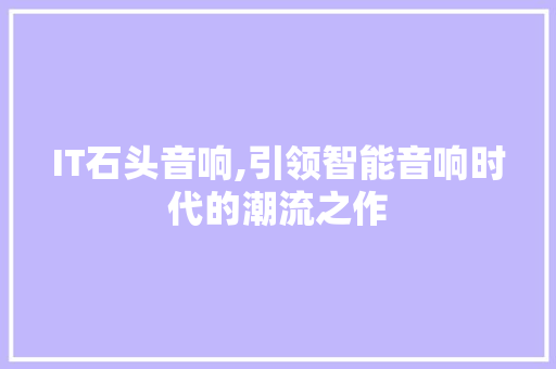 IT石头音响,引领智能音响时代的潮流之作 GoogleSEO