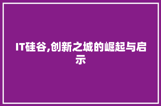 IT硅谷,创新之城的崛起与启示