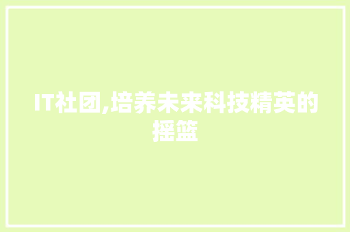 IT社团,培养未来科技精英的摇篮 GoogleSEO