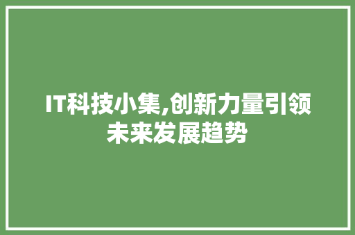 IT科技小集,创新力量引领未来发展趋势 神马SEO