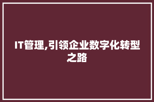 IT管理,引领企业数字化转型之路 GoogleSEO