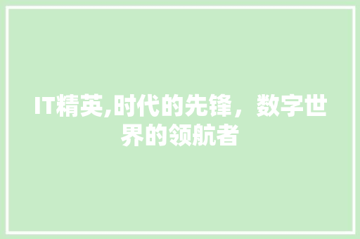 IT精英,时代的先锋，数字世界的领航者