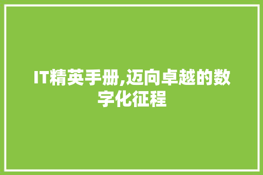 IT精英手册,迈向卓越的数字化征程