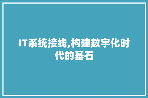 IT系统接线,构建数字化时代的基石