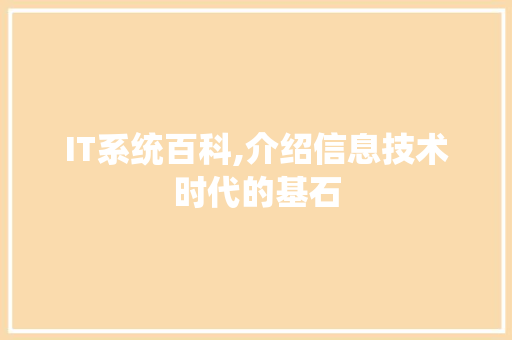 IT系统百科,介绍信息技术时代的基石 GoogleSEO