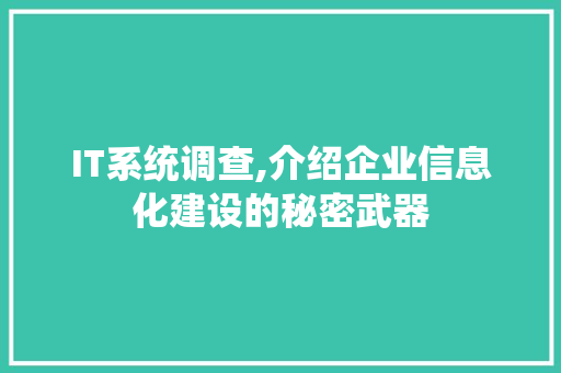 IT系统调查,介绍企业信息化建设的秘密武器