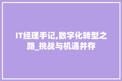 IT经理手记,数字化转型之路_挑战与机遇并存