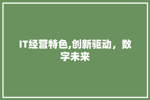 IT经营特色,创新驱动，数字未来