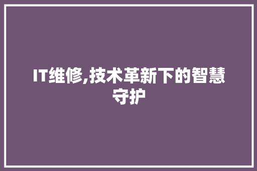 IT维修,技术革新下的智慧守护