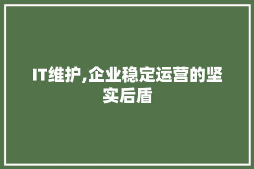 IT维护,企业稳定运营的坚实后盾