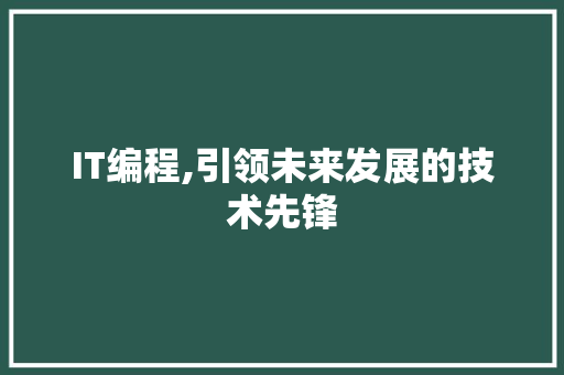 IT编程,引领未来发展的技术先锋