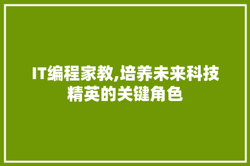 IT编程家教,培养未来科技精英的关键角色