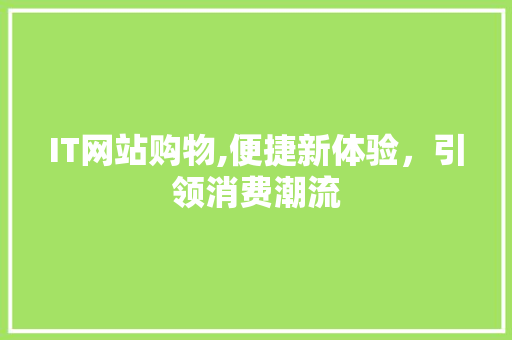 IT网站购物,便捷新体验，引领消费潮流