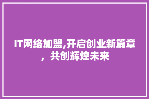 IT网络加盟,开启创业新篇章，共创辉煌未来